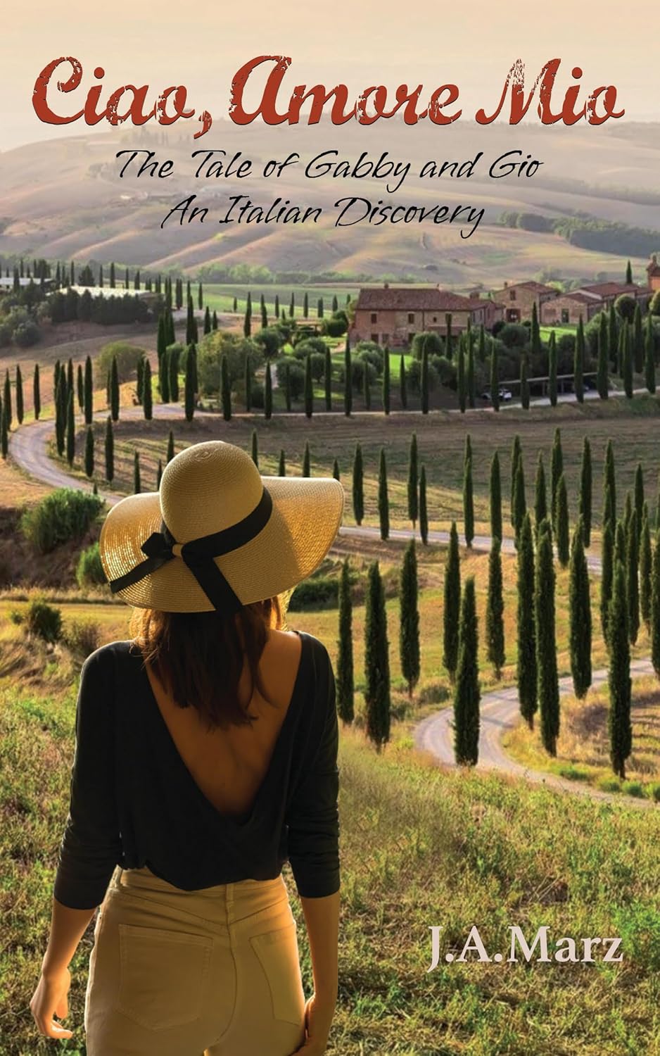 Ciao Amore Mio book cover